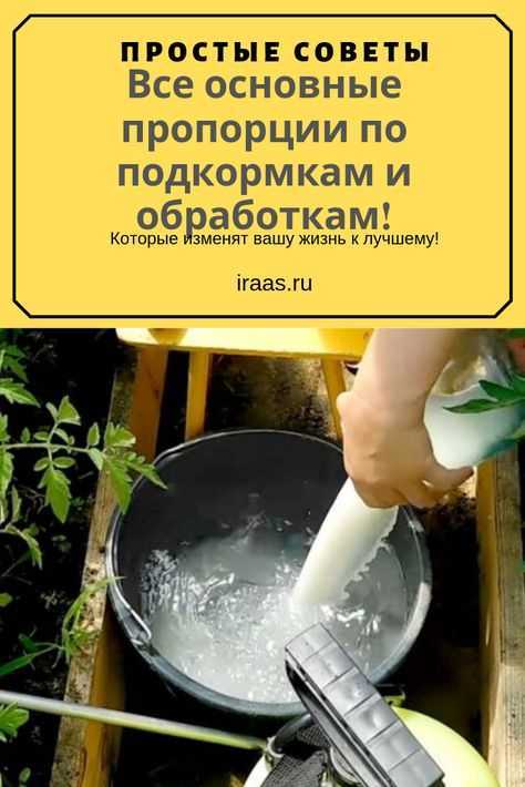 Сыворотка для огурцов: опрыскивание для подкормки. как правильно поливать молочной сывороткой? пропорции и рецепты раствора для обработки