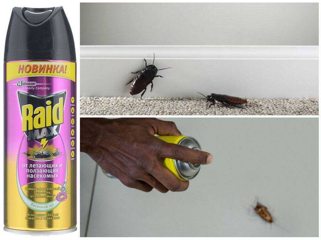 Эффективное средство от тараканов в квартире купить. Raid спрей от тараканов. Средство от насекомых в квартире. Спреи от насекомых в квартире. Средства от тараканов в квартире.