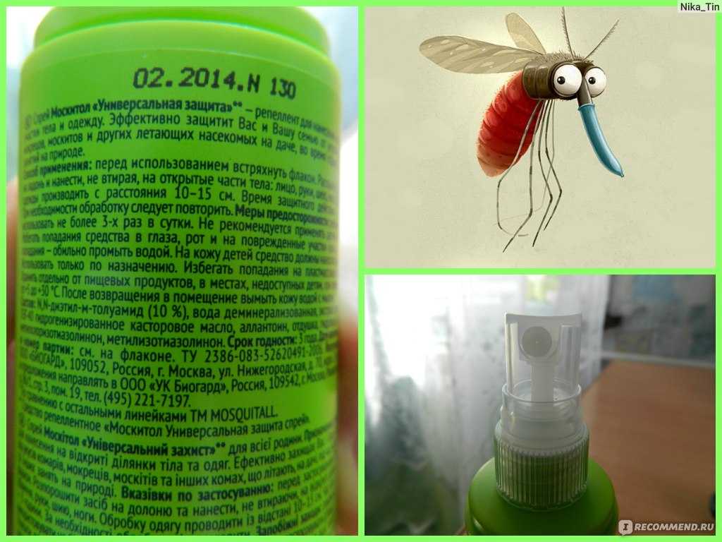 Народные средства от комаров: применяем в квартире, на природе, для детей и на участке