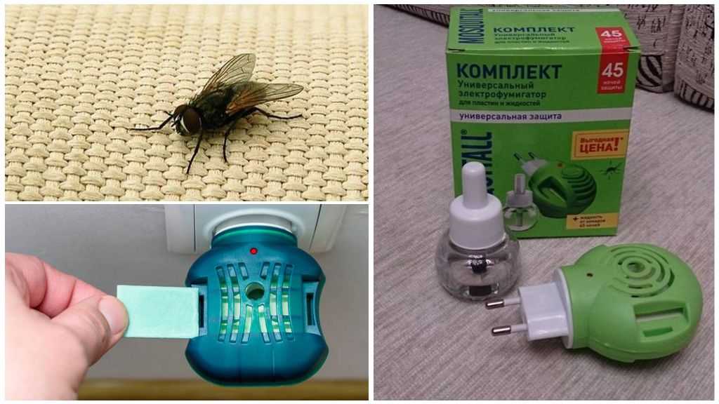 Аквафумигатор раптор: система ликвидации насекомых, применение от клопов и тараканов