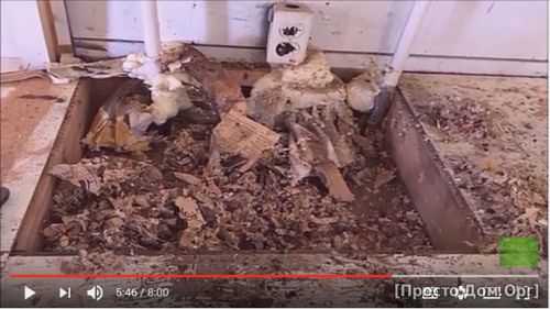 Сетка от грызунов в каркасном доме: как защитить постройку от вредителей
