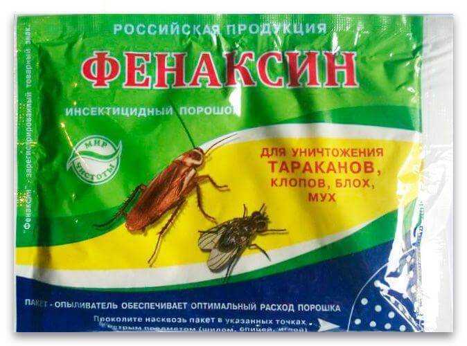 Как выбрать самый эффективный порошок от клопов