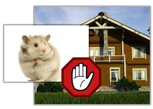 Сетка от мышей в каркасном доме (металическая против грызунов): защита фундамента, стен, пола, применение при строительстве