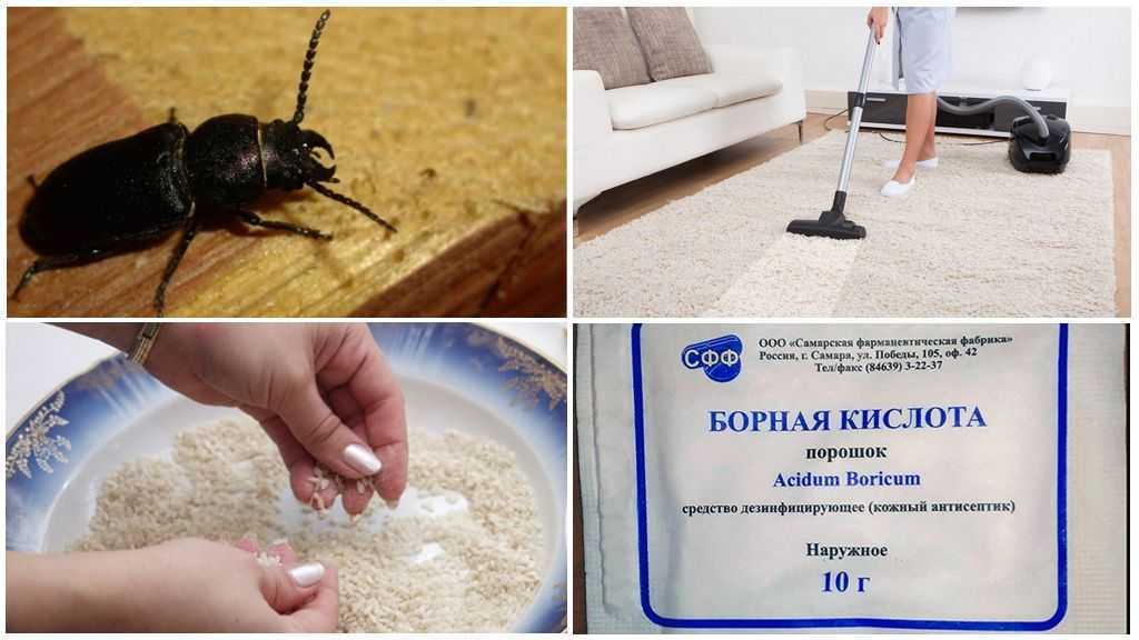 Используйте химические средства для борьбы с жуками