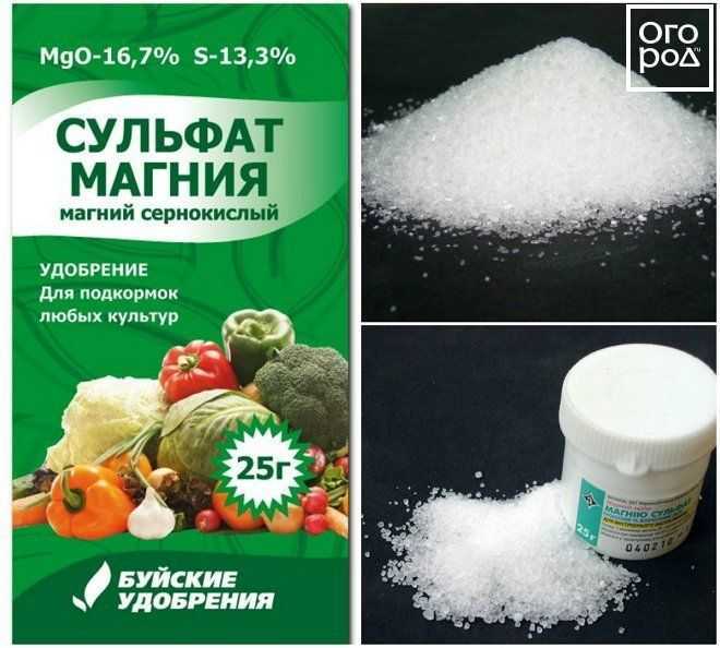Удобрение сульфат магния: для чего необходимо, инструкция по применению, советы по дозировкам