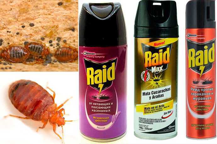 Топ-4 лучших средств «раптор» от тараканов: аэрозоль, спрей, ловушки, гель, инструкция по применению, помогает ли от самых живучих и резистентных тараканов, отзывы покупателей