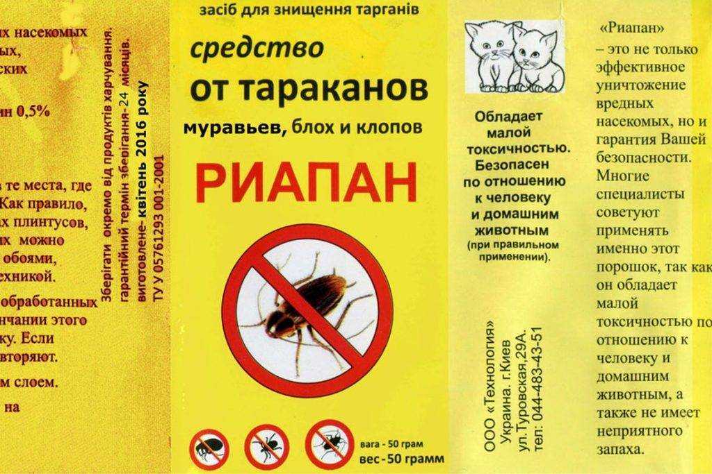 Как использовать дуст от тараканов: советы и рекомендации